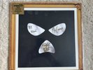 Kneecap Fine Art Signed Triple Colour Vinyl LP