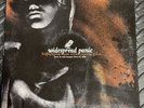 Widespread Panic  Live In The Classic City II LP Vinyl