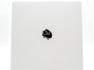 Suicide Sheep Sheepy 10 Year Anniversary Album 2-Vinyl LP Limited Edition 2022