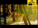 Childish Gambino - Camp (Vinyl 2LP - US 2011) NEW - OVP. SEALED