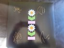 The Lottery Winners - Koko - Yellow Vinyl LP - Signed Edition .....Brand New