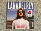 Vinyl 12