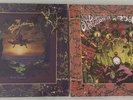 Dukes Of Stratosphere. XTC  2 Sealed  12”  Vinyls  2019 Re-releases