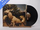 Interpol Our Love To Admire 180G Reissue Double LP Album Vinyl Record - EX/EX