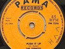 The Termites - Push It Up ORIG UK Pama 45