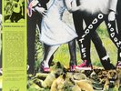 Ariel Pink - Odditties Sodomies Vol. 1 - Vinyl