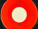 Dan Nix and the Teen Sounds I Know RARE Garage Rock 45