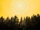 THE DECEMBERISTS KING IS DEAD [LP] NEW LP
