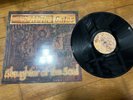 AT THE GATES-slaughter of the soul FIRST PRESS 1995 LP    death metal