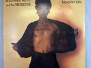 RICHARD HELL & THE VOIDOIDS Blank Generation Punk Rock Album SIRE #SR 6037