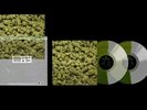 RARE   DR. DRE 2001 25TH ANNIVERSARY EDITION 2LP VINYL Ziplock Bag Chronic Green