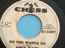 Andy Mack - Do You Wanta Go / Later Than You Think - Demo - vg