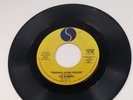 Ramones Sheena Is A Punk Rocker I Don't Care  1977 Sire Records 7