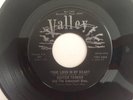 Rare Bluegrass 45 BUSTER TURNER True Love In My Heart VALLEY hear