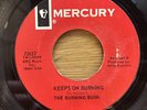 Rare 45 - The Burning Bush - Keeps On Burning / Evil Eye - Mercury - Hear Listen