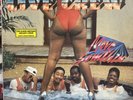 Two Live Crew - Move Somthin' (LP, Vinyl) 1988 Good Plus