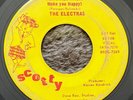 PRIVATE 1965 MN Garage Rock 45 - THE ELECTRAS 