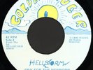 HELLSTORM Cry For The Newborn 45 Golden Ruler Rare TX Psychedelic Funk M-