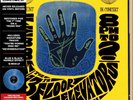 The 13th Floor Elevators 