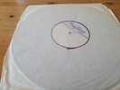 Butthole Surfers Rembrandt  Pussyhorse white label  test pressing no cover