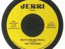 TROUTMAN, Tony - What's The Use? (Record Store Day RSD 2023) - Vinyl (7