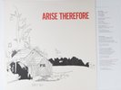Palace Music* - Arise Therefore (LP, Album) - Excellent (WIll Oldham)