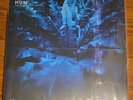 Hum - Downward Is Heavenward  (Record, 2023)  Vinyl LP [Earth Analog Records]