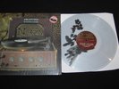 NOFX Single Album LP rancid lagwagon no use for a name bad religion pennywise