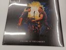 Record Store Day 2025 RSD The Killers/ Bruce Springsteen - Encore at the Garden