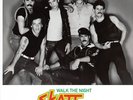 SKATT BROS. Walk The Night RSD 12