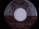 Doo Wop 45 ORCHIDS You're Everything To Me PARROT HEAR e