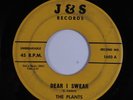 Doo Wop 45 PLANTS Dear I Swear J&S 1961 HEAR e