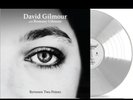 David Gilmour 