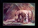 Atomic Rooster - Death Walks Behind You, LP, (Vinyl)
