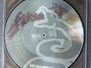 METALLICA Sad But True (1993) METAL 1112 Vertigo 12” PICTURE DISC