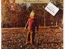 Allman Brothers Band - Brothers And Sisters LP - Capricorn SEALED