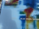 Vegyn Air - Blue Moon Safari (BLUE COLOR) RSD 2025 Vinyl Record Store Day