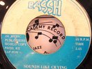 ZAP-POW SOUNDS LIKE CRYING B/W UNKNOWN PSYCH FUZZ REGGAE TUNE  45 RARE  BASSH