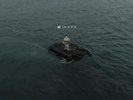 NF - Hope. Double Vinyl 2x12