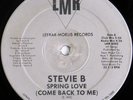 Stevie B, Spring Love (Come Back To Me), (12