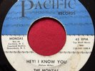THE MONZAS HEY  I KNOW RARE NORTHERN GARAGE CAROLINA BEACH 45 LISTEN (1964)