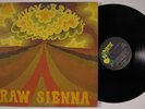 SAVOY BROWN Raw Sienna PARROT LP gatefold q