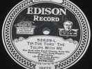 Edison Electric Record 52629 Tip Toe Thru The Tulips Someday California Ramblers