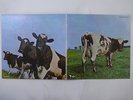 Pink Floyd Atom Heart Mother Harvest EMS-80320 Japan  VINYL LP