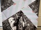 Luv Is Rage 2 by Lil Uzi Vert (Record, 2018) Rare Red Vinyl