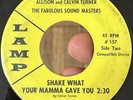 RARE Indiana Funk Sweet Soul 45 TURNER BROTHERS Shake What Your Mama Memories*