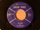The Huntsmen So Long/Say What I Mean Fuzz Garage 1980 Shur Shot
