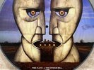 Pink Floyd-The Division Bell-Picture Disc-Limited Edition-C64200