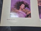 Kate Bush Hounds of Love Townhouse Vinyl Record 1985