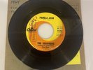 THE SURVIVORS Pamela Jean After The Game 45 Capitol Brian Wilson Beach Boys Rare